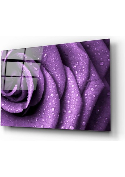 Mor Gül Cam Tablo