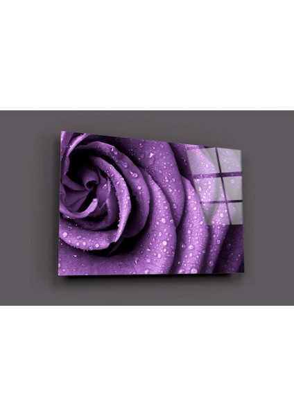 Mor Gül Cam Tablo modelleri