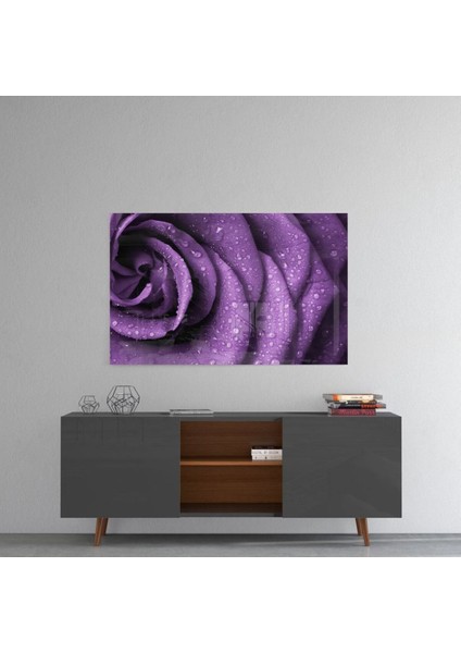 Mor Gül Cam Tablo fırsatları