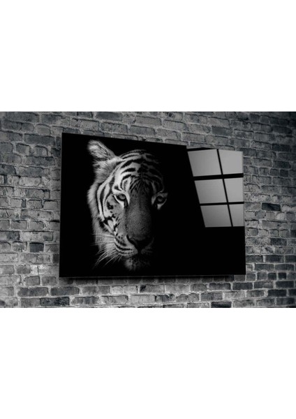 Kaplan Cam Tablo modelleri