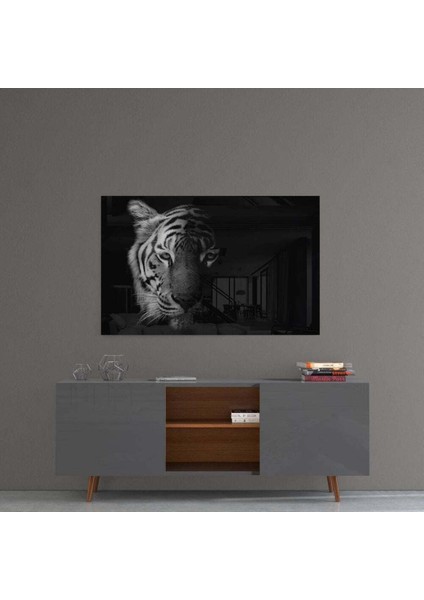 Kaplan Cam Tablo fırsatları