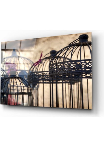 Kuş Kafesi Cam Tablo