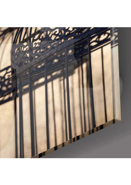 Kuş Kafesi Cam Tablo fiyatları