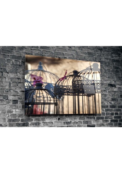 Kuş Kafesi Cam Tablo modelleri
