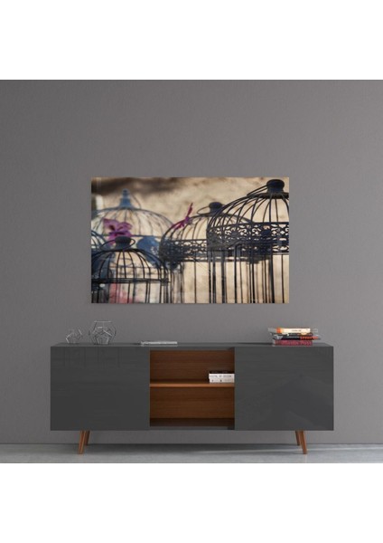 Kuş Kafesi Cam Tablo fırsatları