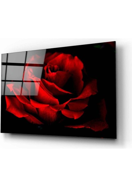 Kırmızı Gül Cam Tablo