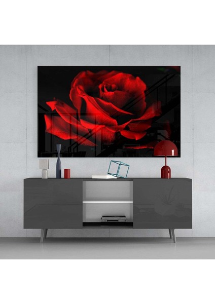 Kırmızı Gül Cam Tablo fırsatları