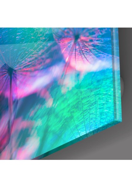 Karahindiba Cam Tablo fiyatları