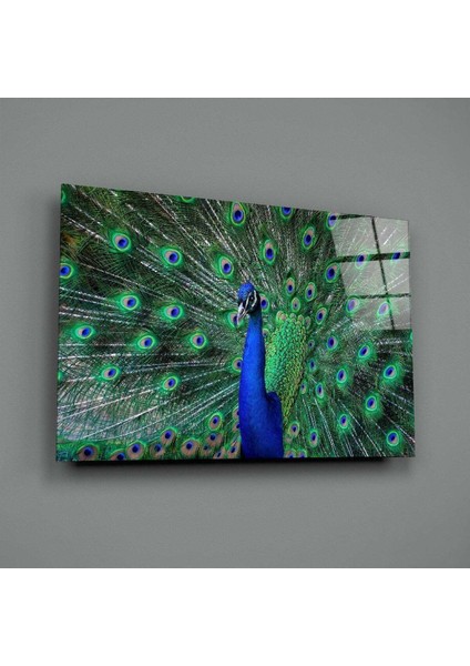 Tavuskuşu Cam Tablo fiyatları