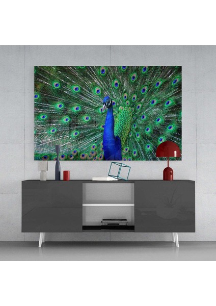 Tavuskuşu Cam Tablo fırsatları