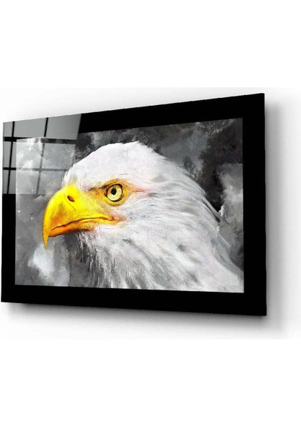 Kartal Cam Tablo