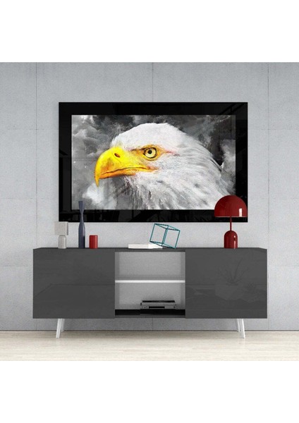 Kartal Cam Tablo fırsatları