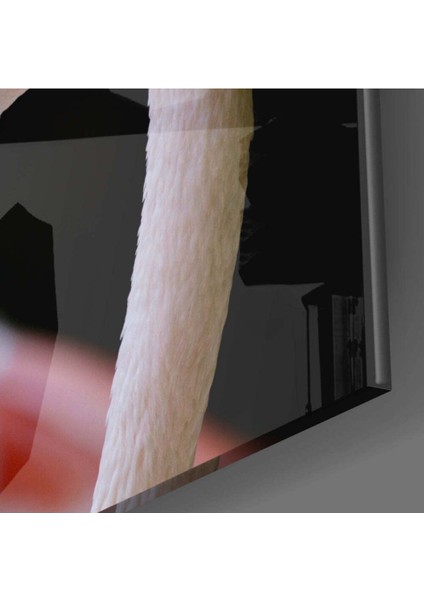 Flamingo Cam Tablo fiyatları