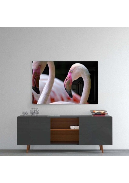 Flamingo Cam Tablo fırsatları