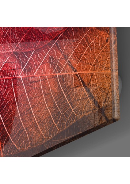 Makro Kırmızı Yaprak Cam Tablo fiyatları