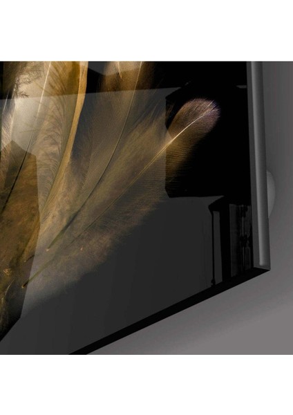 Taba Tüy Cam Tablo fiyatları