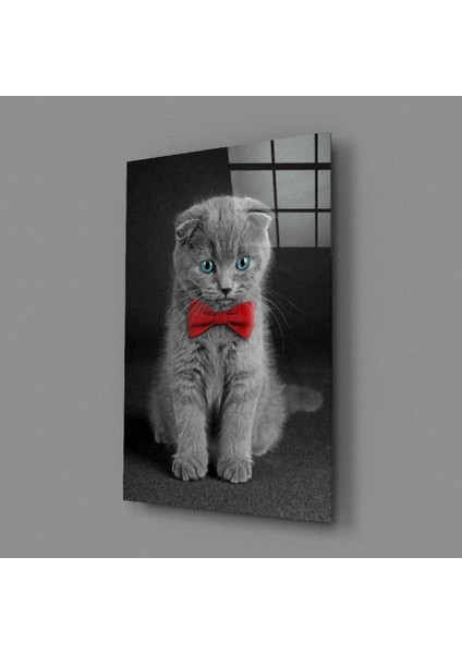 Kedi Cam Tablo fiyatları