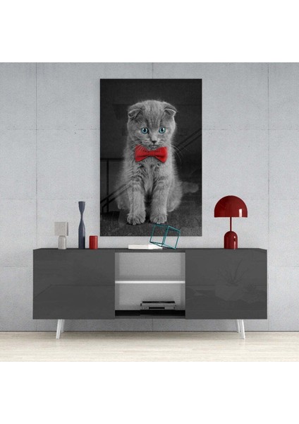 Kedi Cam Tablo fırsatları