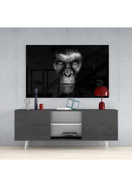 Goril Cam Tablo fırsatları