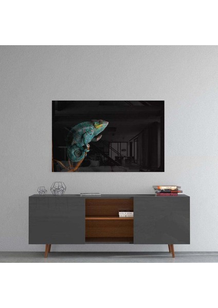 Bukalemun Cam Tablo fırsatları