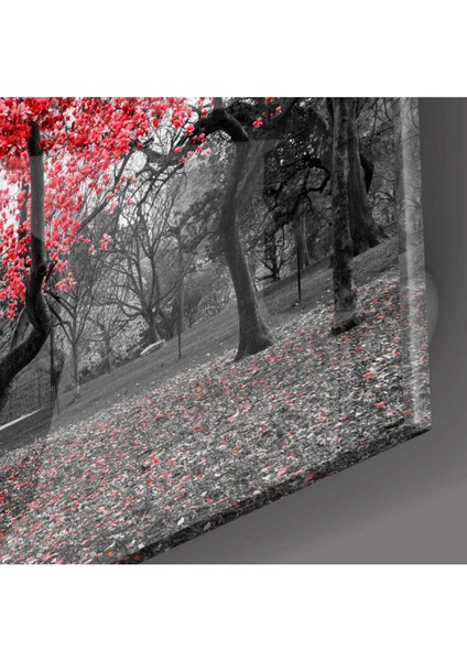 Kırmızı Ağaç Cam Tablo fiyatları