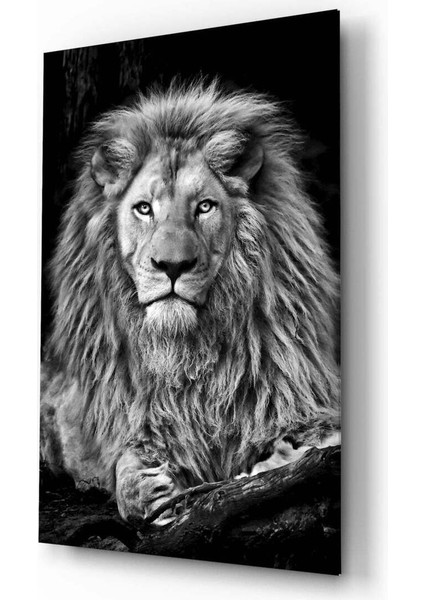 Aslan Cam Tablo