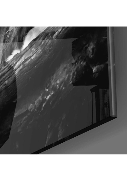 Aslan Cam Tablo modelleri