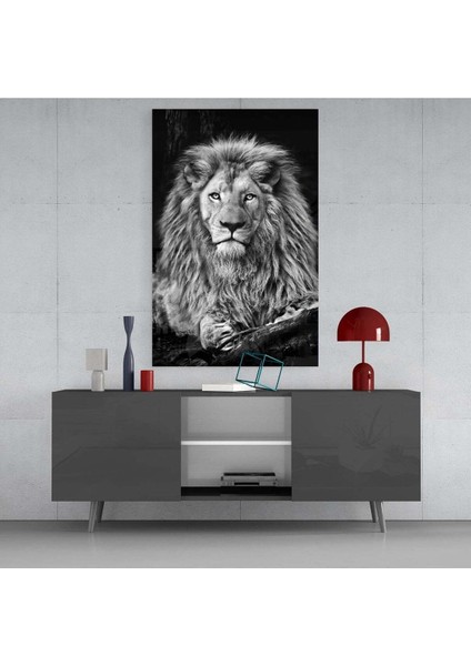 Aslan Cam Tablo fırsatları