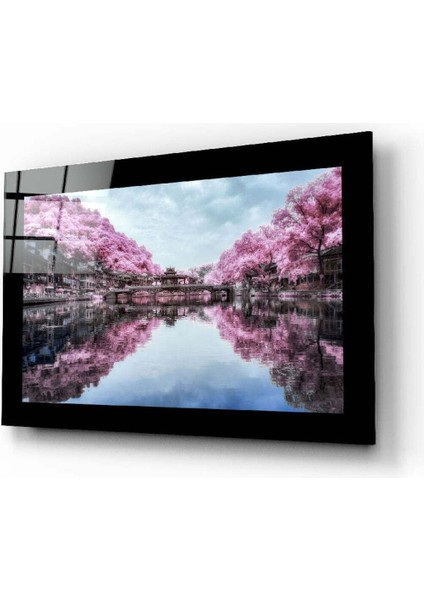 Sakura Ağaçları Cam Tablo