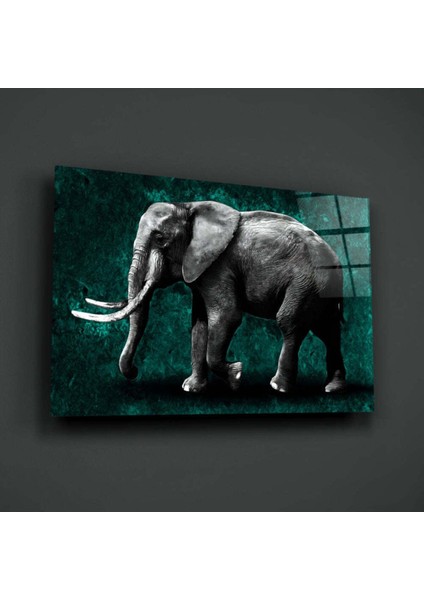 Fil Cam Tablo modelleri