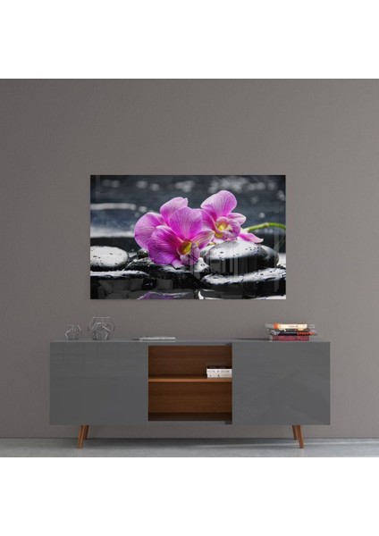 Spa Cam Tablo fırsatları