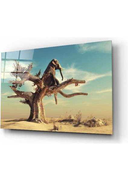 Düşünen Fil Cam Tablo