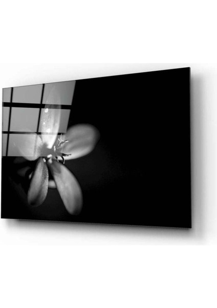 Çiçek Cam Tablo