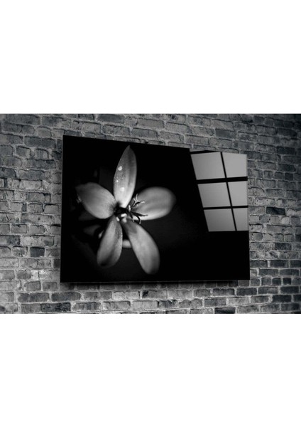 Çiçek Cam Tablo modelleri