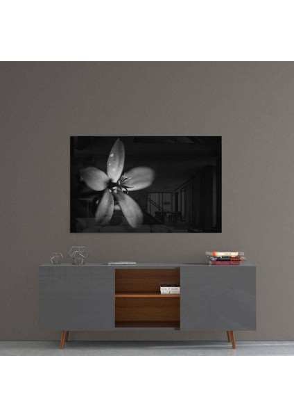 Çiçek Cam Tablo fırsatları