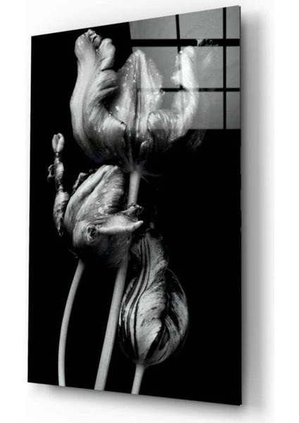 Siyah Beyaz Çiçekler Cam Tablo