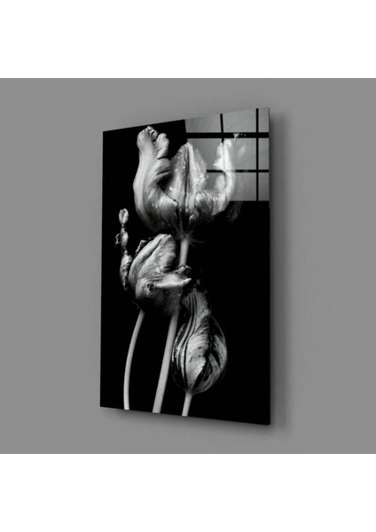 Siyah Beyaz Çiçekler Cam Tablo modelleri