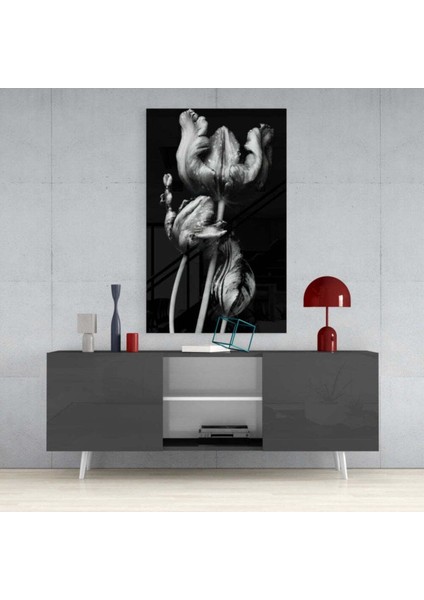 Siyah Beyaz Çiçekler Cam Tablo fırsatları