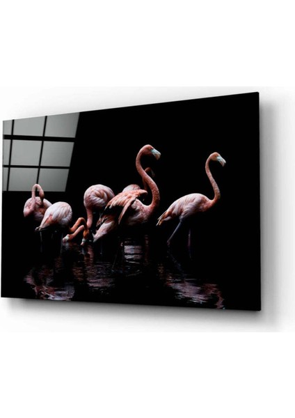 Flamingolar Cam Tablo