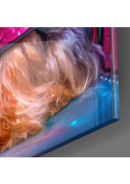 Kalça Köpeği Cam Tablo modelleri