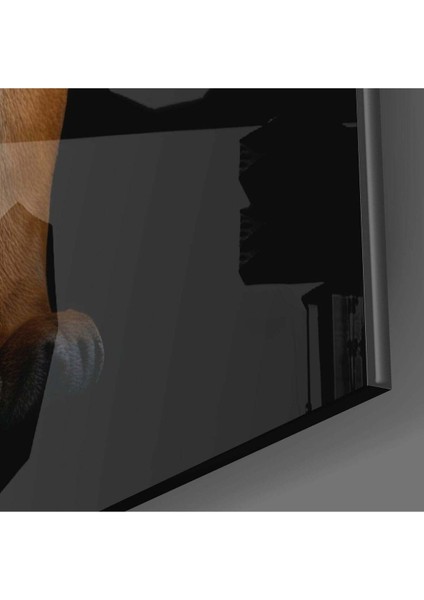 Köpekteki Kaplan Cam Tablo modelleri