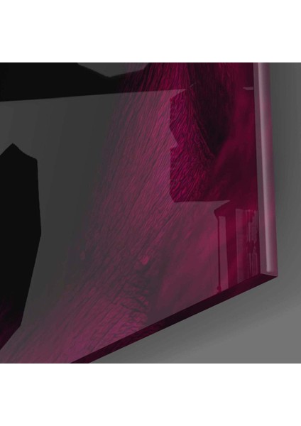 Düşünen Maymun Cam Tablo || Tasarımcı Koleksiyonu fiyatları