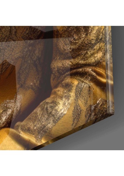 Aslan Vogue Cam Tablo modelleri