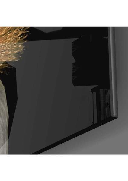 Turna Kuşu Cam Tablo modelleri