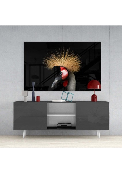 Turna Kuşu Cam Tablo fırsatları