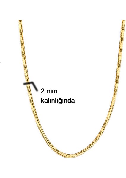 Balıksırtı 14 Ayar Altın Zincir - 40 cm fırsatları