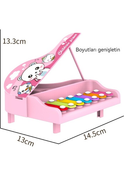 Çocuk Müzik Müzik Oyuncak (Yurt Dışından) modelleri