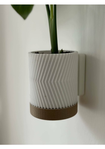 3'lü Modern Duvar Saksısı