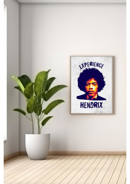 A3 Hendrıx Baskılı Poster