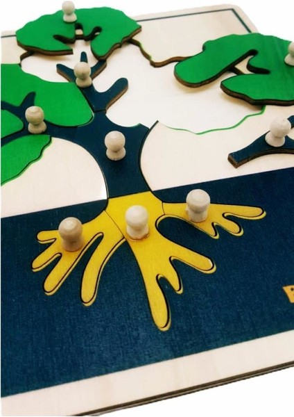 Montessori Ağaç Puzzle